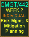 CMGT/442 Week 2 Risk Management Mitigation Plan